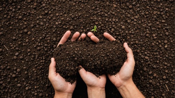 Etude de sol : comprendre l'importance de cette opération